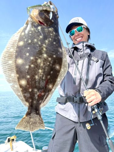 ヒラメの釣果