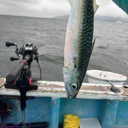 マサバ