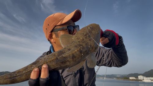 マゴチの釣果