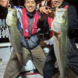 シーバス