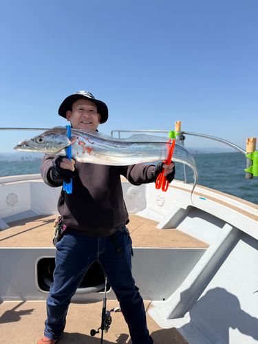 タチウオの釣果