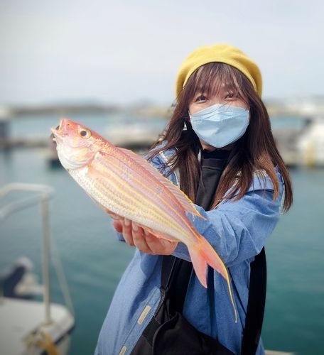 イトヨリダイの釣果