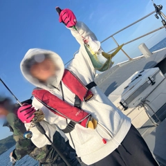 ハマチの釣果
