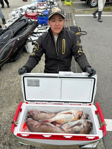 タイの釣果