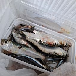 ミズン