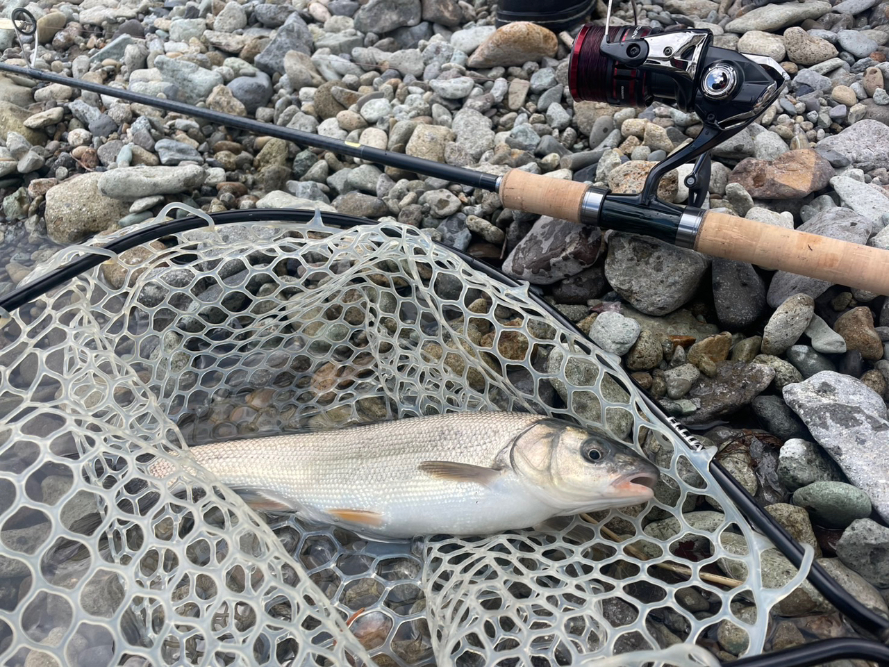 SHIMANO 24トラウトワン NS S86Mの最安値・インプレ・釣果