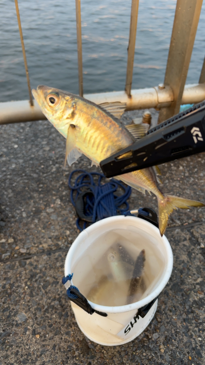 DAIWA 21リバティクラブ ショートスイング 10号-330・Nの最安値