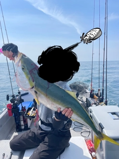 ワラサの釣果