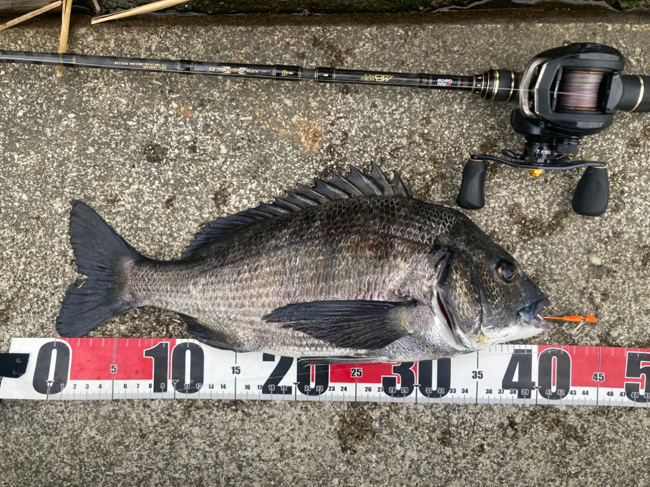 AbuGarcia クロスフィールド XRFC-704M-MBの最安値・インプレ