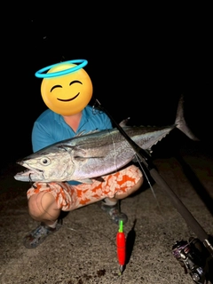 イソマグロの釣果