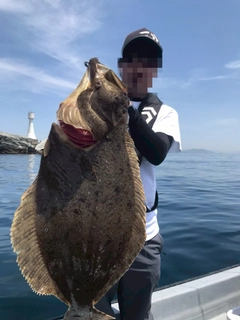 ヒラメの釣果