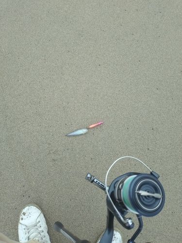 釣果