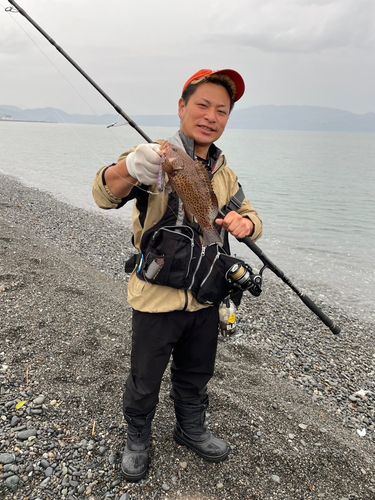 オオモンハタの釣果
