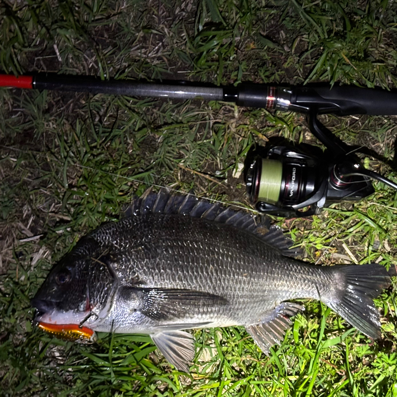 SHIMANO 20ヴァンフォード C3000HGの最安値・インプレ・釣果
