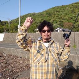 ガシラ