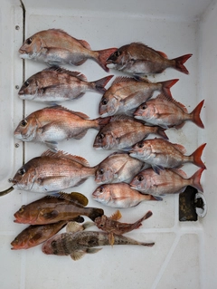 釣果