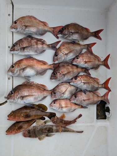 釣果