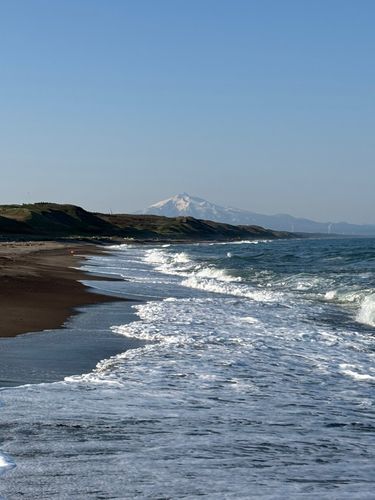 シタビラメの釣果