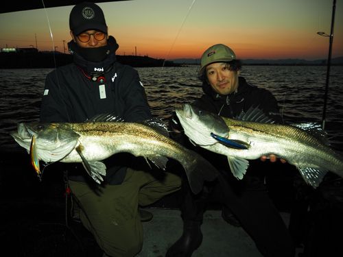 シーバスの釣果