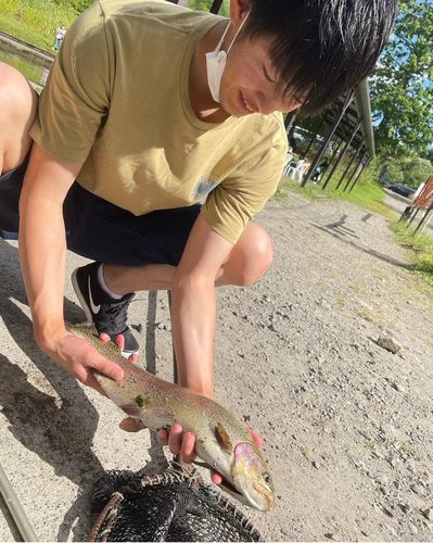 ニジマスの釣果