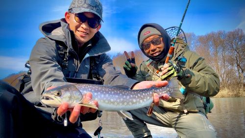 アメマスの釣果