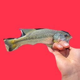 ラージマウスバス