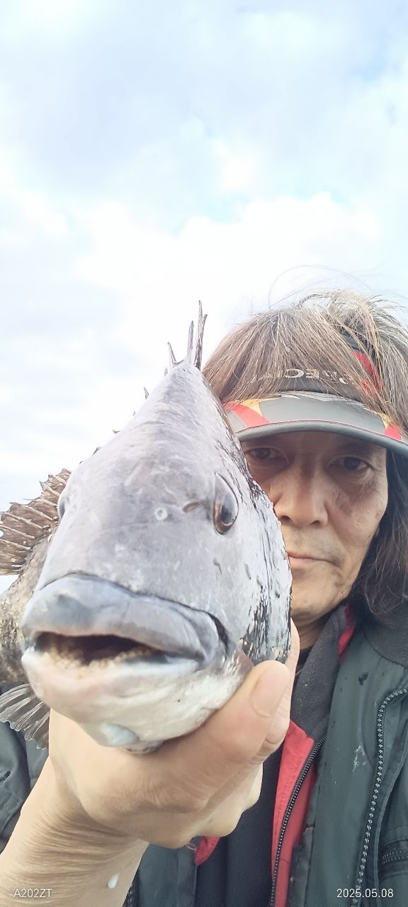 クロダイ