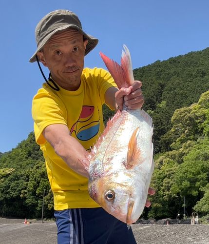 タイの釣果