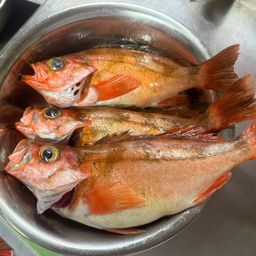 アラ