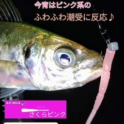 アジ