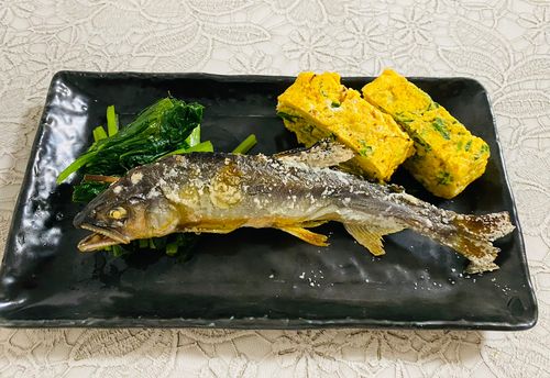 アユの釣果