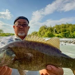 スモールマウスバス