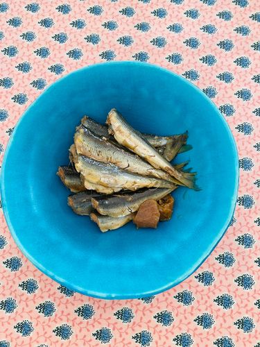コアユの釣果