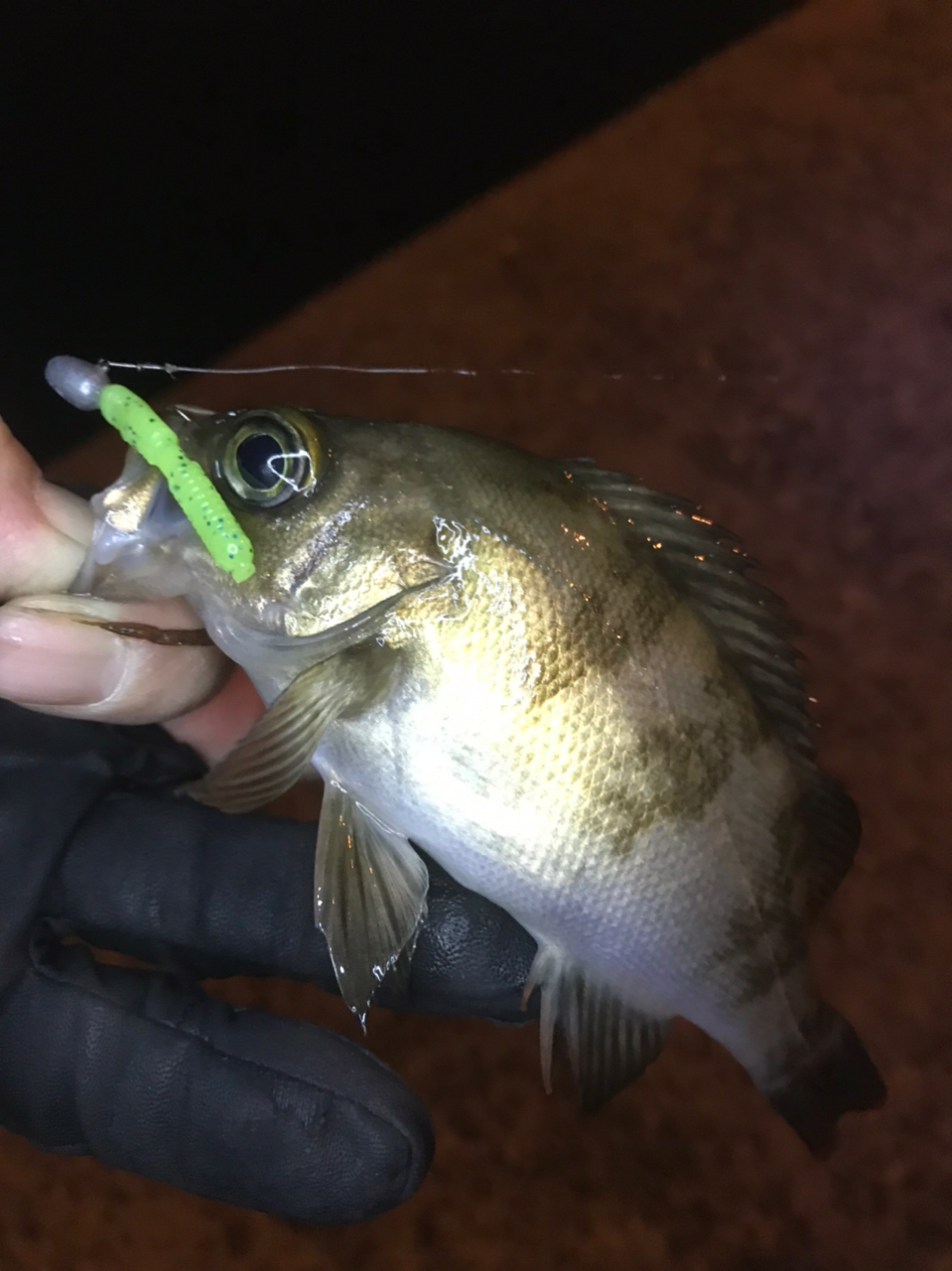 シマノ／SHIMANO ソアレCI4+ S706UL-T （17 Soare CI4+