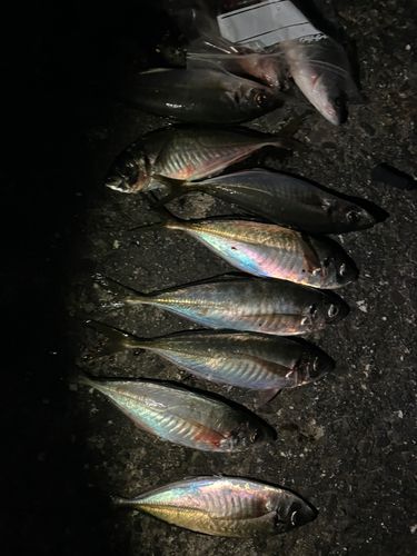 アジ