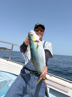 ヤズの釣果