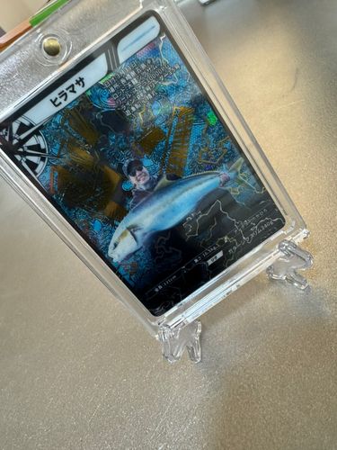 ヤズの釣果