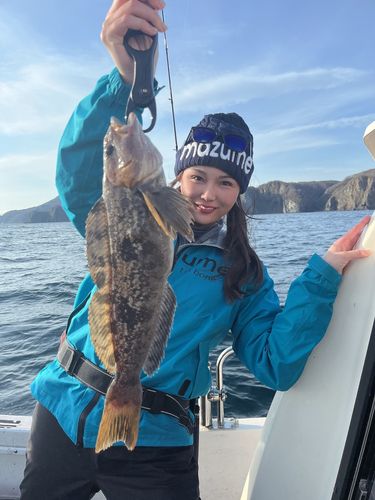 アブラコの釣果
