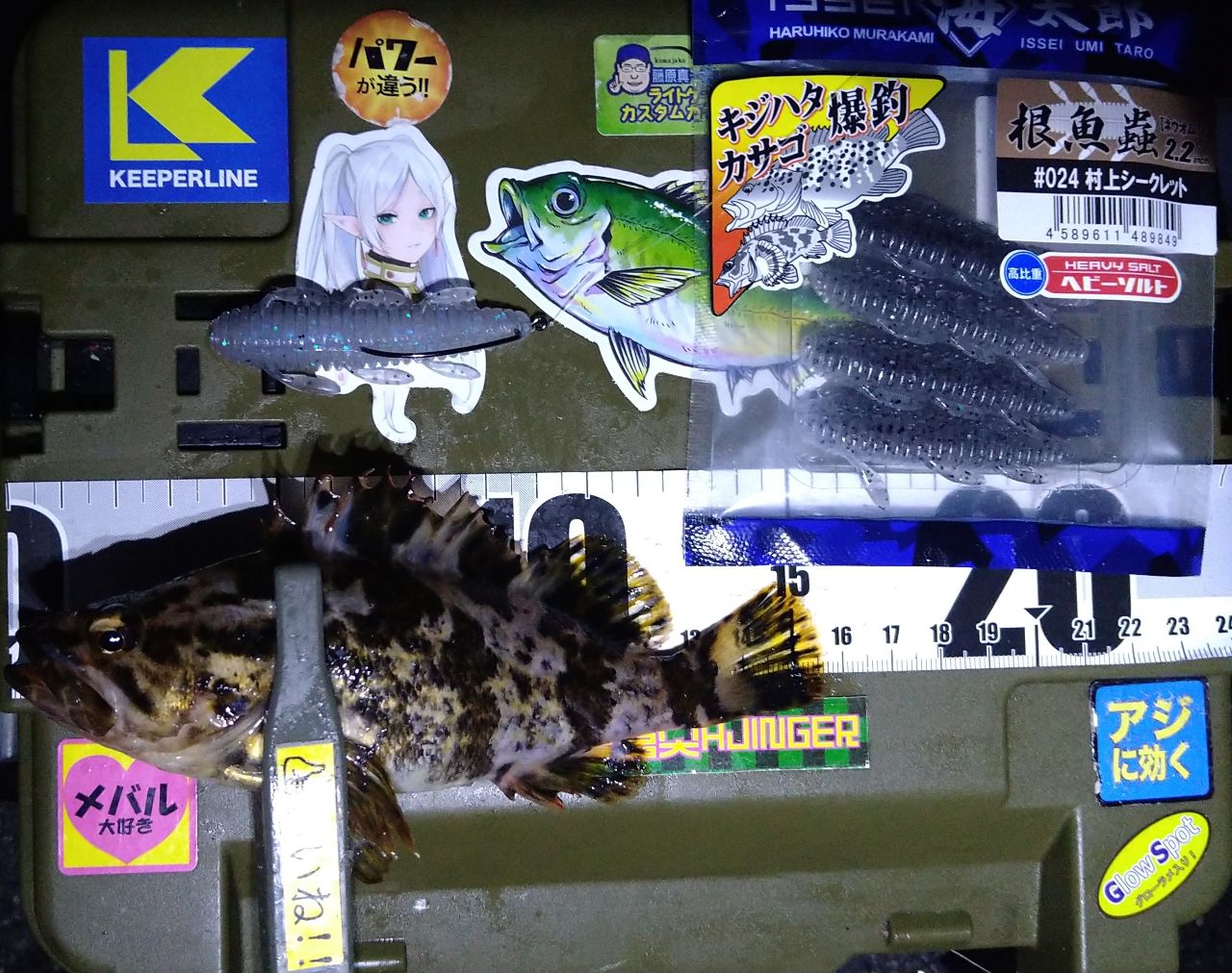 タケノコメバル