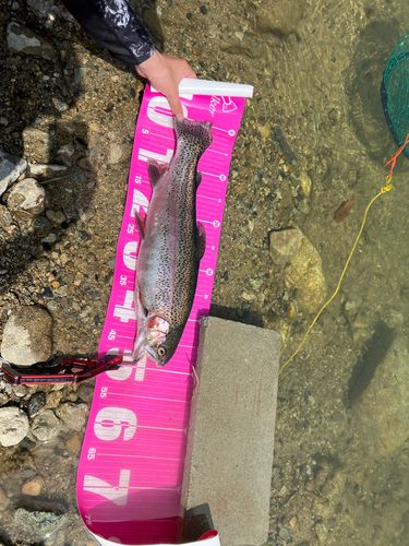 北田原ます釣り場