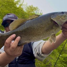 スモールマウスバス