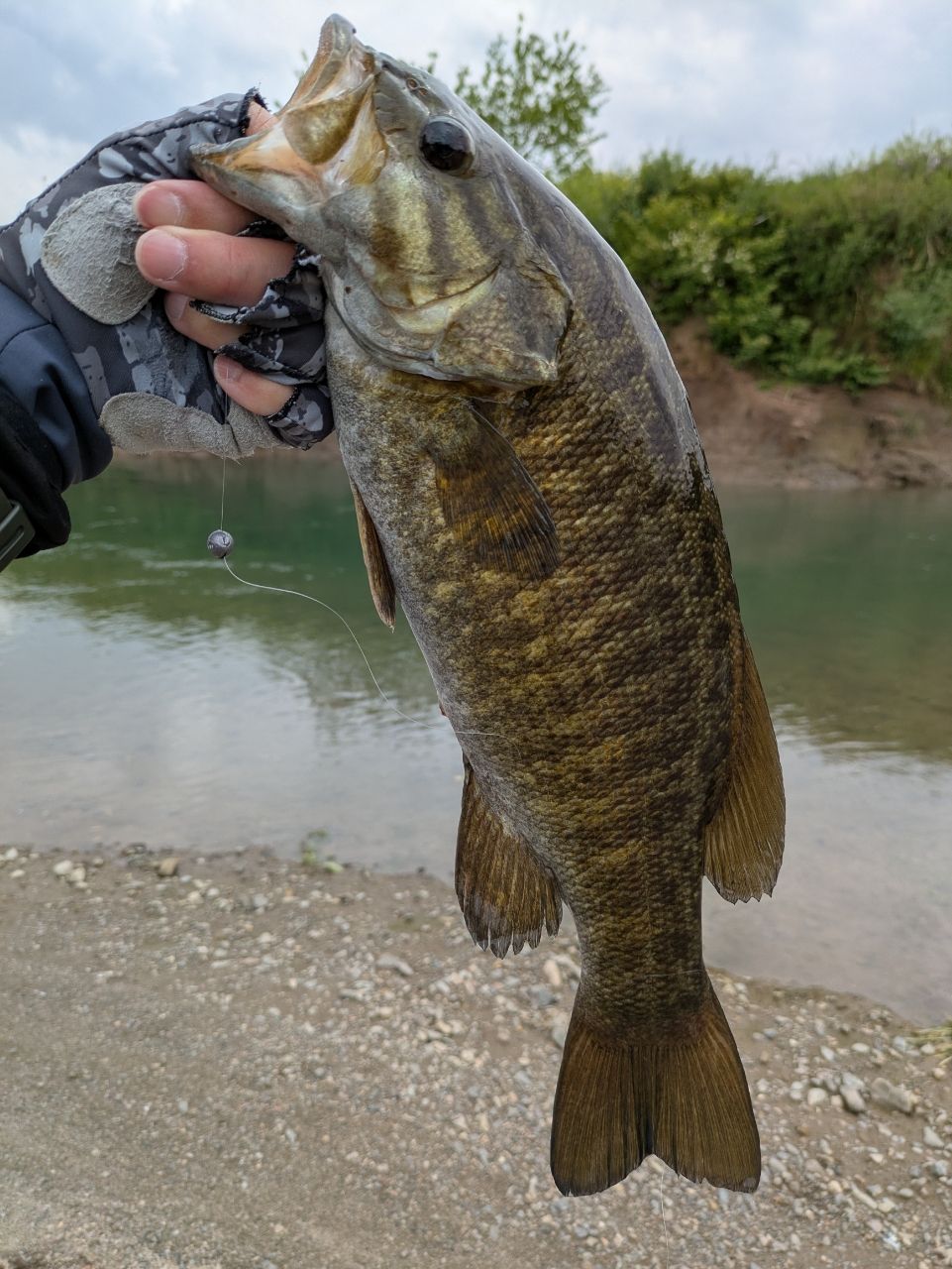 スモールマウスバス