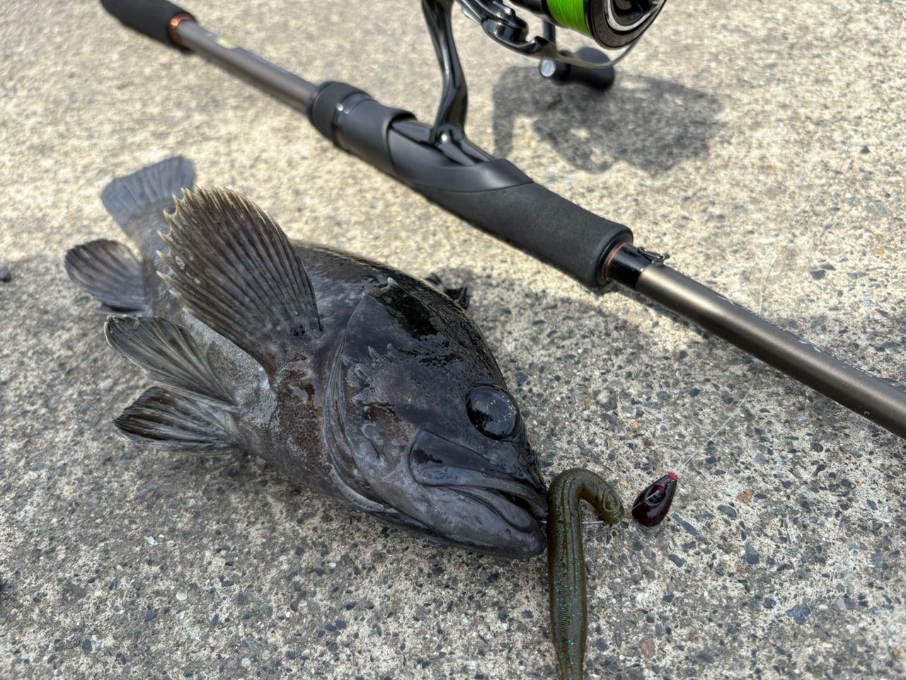 SHIMANO 20ハードロッカー XR S72Lの最安値・インプレ・釣果