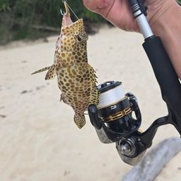 イシミーバイ