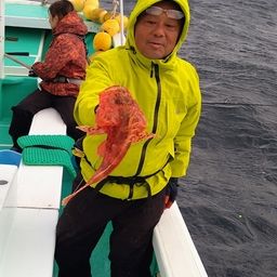 オニカサゴ