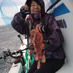 オニカサゴ