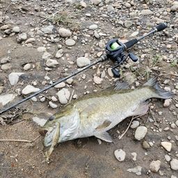 スモールマウスバス