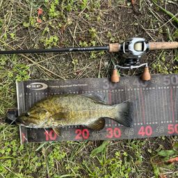 スモールマウスバス