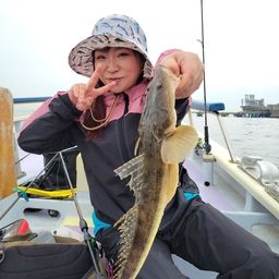 マゴチ