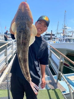 マゴチの釣果